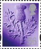 Regional Definitive 56p Stamp (2009) Thistle