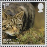 Mammals 1st Stamp (2010) Wildcat