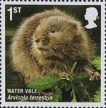 Mammals 1st Stamp (2010) Water Vole
