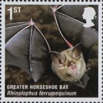 Mammals 1st Stamp (2010) Greater Horseshoe Bat