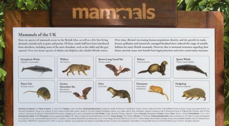 Mammals 2010