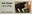 1st, Berkshire from Post & Go: Pigs - British Farm Animals 2 (2012)