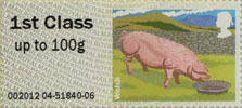 1st, Welsh from Post & Go: Pigs - British Farm Animals 2 (2012)