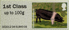 Post & Go: Pigs - British Farm Animals 2 1st Stamp (2012) British Saddleback