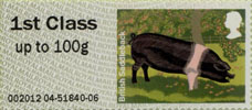 1st, British Saddleback from Post & Go: Pigs - British Farm Animals 2 (2012)