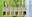 Post & Go: Pigs - British Farm Animals 2 - (2012) Post & Go: Pigs - British Farm Animals 2