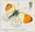 1st, Orange Tip from Butterflies (2013)