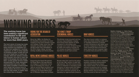 Working Horses 2014