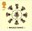 1st, Waggle Dance from Bees (2015)