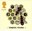£1.33, Tending Young from Bees (2015)