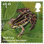 Reintroduced Species £1.45 Stamp (2018) Pool Frog