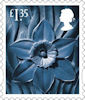 Country Definitive 2019 £1.35 Stamp (2019) Wales