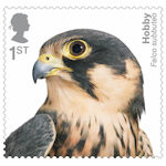 Birds of Prey 1st Stamp (2019) Hobby