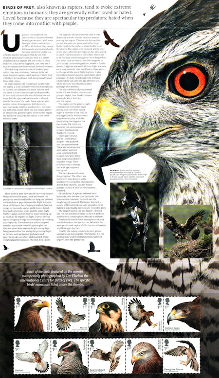 Reverse for Birds of Prey