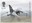 £1.55, Harrier GR3: Vertical Landing from British Engineering (2019)
