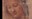 Leonardo da Vinci - (2019) Leonardo da Vinci