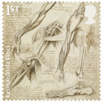 Leonardo da Vinci 1st Stamp (2019) The anantomy of the shoulder and foot