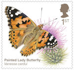 Brilliant Bugs 1st Stamp (2020) Painted Lady Butterfly (Vanessa cardui)
