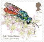 Brilliant Bugs £1.70 Stamp (2020) Ruby-Tailed Wasp  (Chrysis ignita agg.)