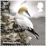 Wild Coasts 1st Stamp (2021) Northern Gannet