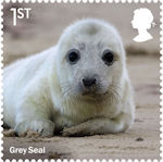 Wild Coasts 1st Stamp (2021) Grey Seal