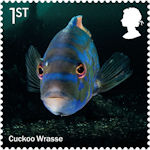 Wild Coasts 1st Stamp (2021) Cuckoo Wrasse