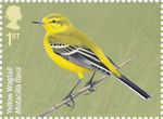 1st, Yellow Wagtail, Motacilla flava from Migratory Birds (2022)