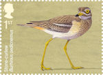 1st, Stone-curlew, Burhinus oedicnemus from Migratory Birds (2022)