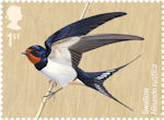 Migratory Birds 1st Stamp (2022) Swallow, Hirundo rustica