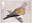 1st, Turtle Dove, Streptopelia turtur from Migratory Birds (2022)