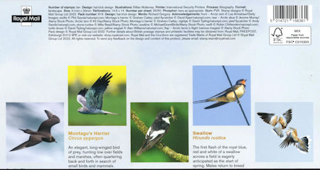 Migratory Birds - (2022) Migratory Birds