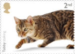 Cats 2nd Stamp (2022) Tabby stalking