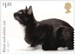 £1.85, Black-and-white cat on alert from Cats (2022)