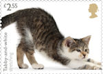 £2.55, Tabby-and-white stretching from Cats (2022)