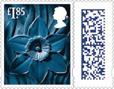 Barcoded Country Definitives £1.85 Stamp (2022) Wales Daffodil