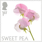 Flowers 1st Stamp (2023) Sweet Pea
