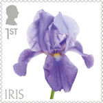 Flowers 1st Stamp (2023) Iris