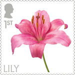 Flowers 1st Stamp (2023) Lily
