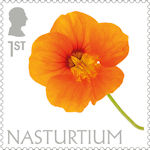 Flowers 1st Stamp (2023) Nasturtium