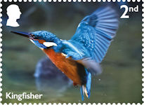 River Wildlife 2nd Stamp (2023) Kingfisher