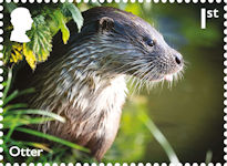 River Wildlife 1st Stamp (2023) Otter