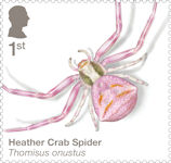 Spiders 1st Stamp (2024) Heather Crab Spider
