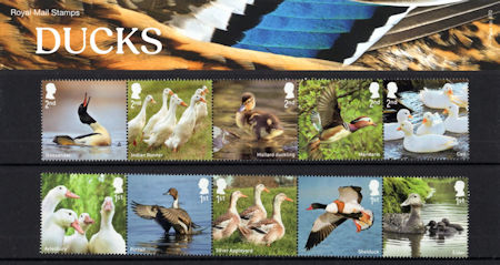 Ducks (2025)