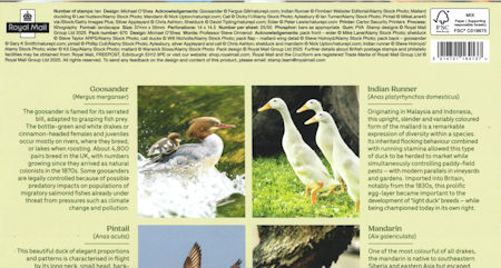 Reverse for Ducks