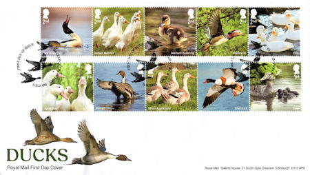 Ducks (2025)