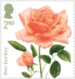 Roses 2nd Stamp (2026) Rosa ‘Just Joey’