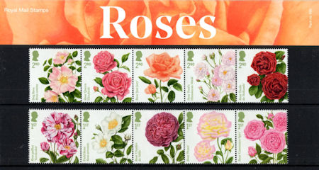 Presentation Pack from Collect GB Stamps
