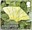 1st, Swallow-tailed Moth (Ourapteryx sambucaria) from Moths (2026)