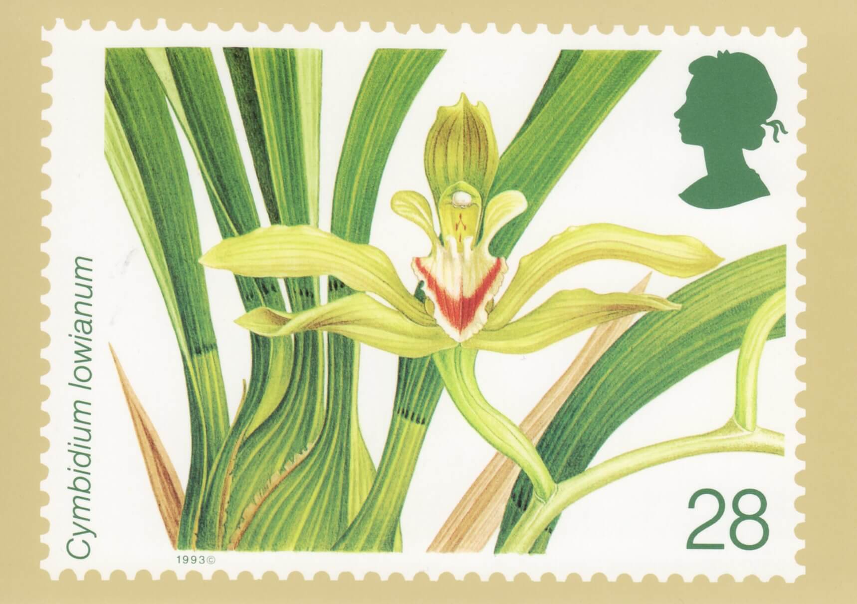 Orchids (1993) : Collect GB Stamps
