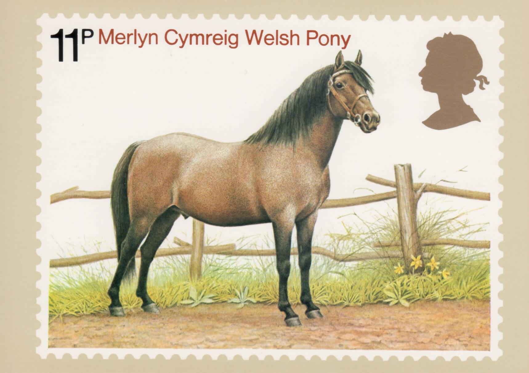 Хорс каталог. Лошади на почтовых марках. Пони Уэльский рисунок. Великобританский конь сколько стоит. Почтовые лошади картинки.